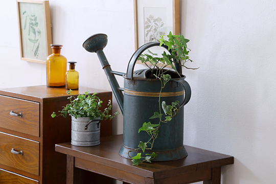 おしゃれな観葉植物のためのアンティーク雑貨通販サイト『アンティーク家具　ラフジュ工房』